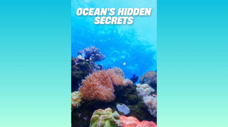 New Film ‘Ocean’s Hidden Secrets’ Dives Deep into the Importance of Marine Conservation